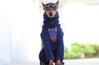 ムック ロンパース NAVY BLUE
